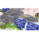 LAVAGNE PER PESCHERIA E SURGELATI SERIE LASER